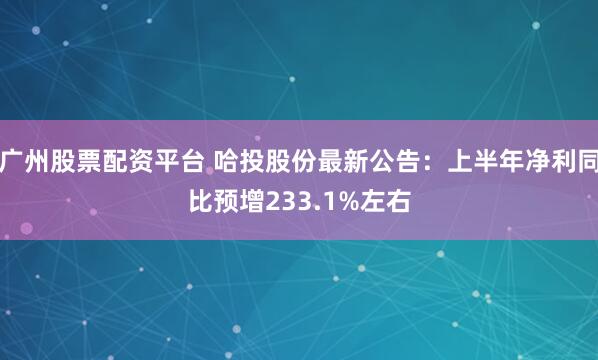 广州股票配资平台 哈投股份最新公告：上半年净利同比预增233.1%左右