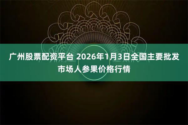 广州股票配资平台 2026年1月3日全国主要批发市场人参果价格行情